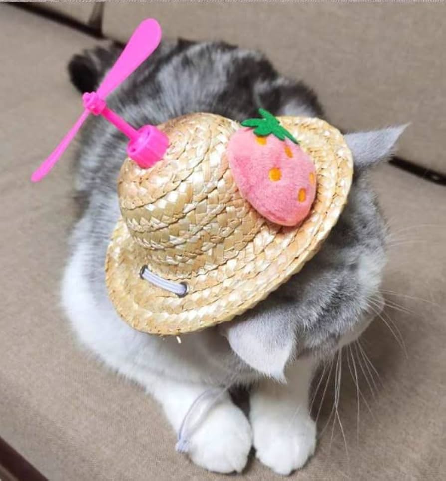 Amazon | LUCHUAN ペット麦わら帽子 犬用 猫用 麦わら帽子 が